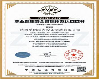 職業(yè)健康安全管理體系認(rèn) 證證書